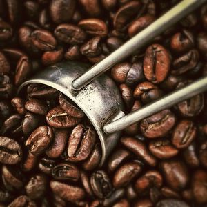 Fair Trade Coffee