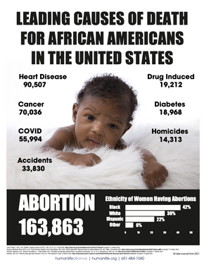 African American Abortion Stats Fact Sheet