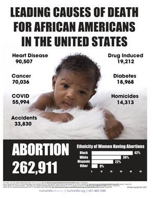 African American Abortion Stats Fact Sheet