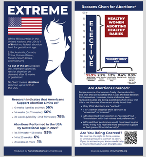 Elective Abortions