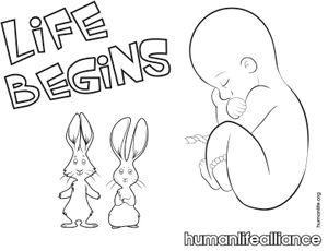 5. Life Begins Coloring Pages