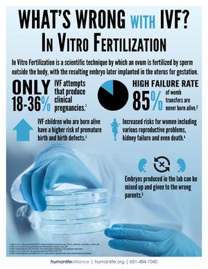 IVF Fact Sheet