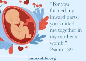 8. Knit in the Womb Scripture Sticker