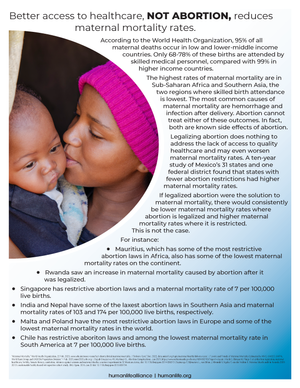 Maternal Mortality Fact Sheet