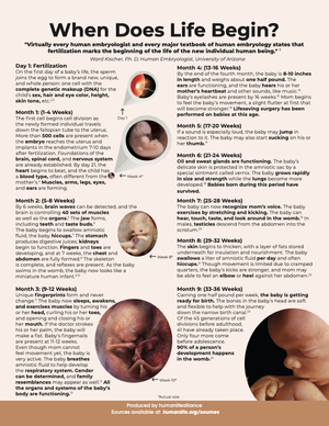 When Does Life Begin Fact Sheet