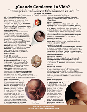 When Does Life Begin (Spanish) ¿Cuando comienza la vida? - Fact Sheet