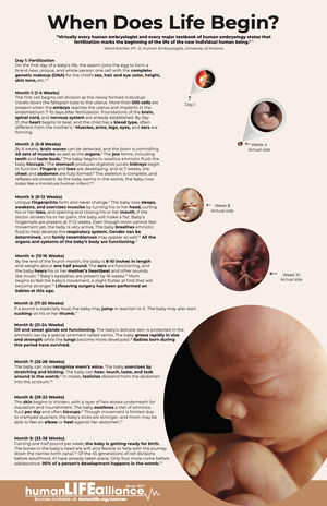 When Does Life Begin Poster