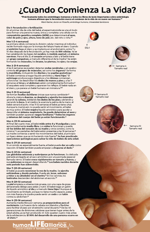 When Does Life Begin Poster in - Spanish