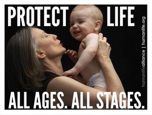 Protect Life All Ages All Stages