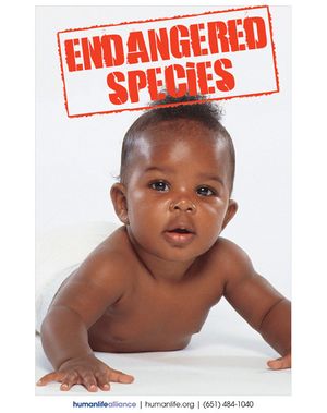 Endangered Species African American Poster