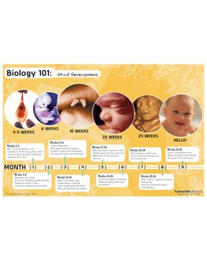 Biology 101 Poster