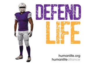 Defend Life Football  Laptop/Bumper Sticker Version 2