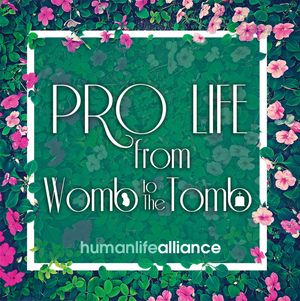 PRO LIFE from Womb to Tomb Laptop/Bumper Sticker