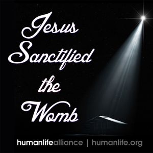 Jesus Sanctified the Womb Laptop/Bumper Sticker