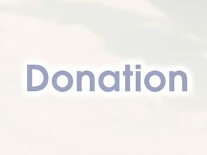 ADDITIONAL DONATION