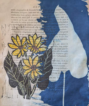 Arrowleaf balsamroot II