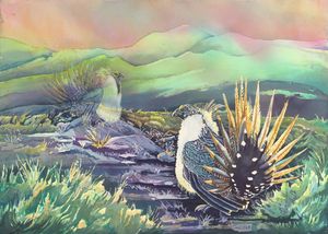 Bearing Witness-Greater Sage Grouse