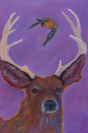 Muley and Kestrel at Twilight