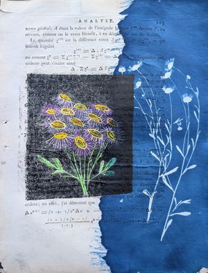 Fleabane