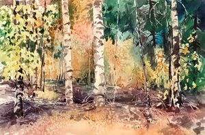 Forest Cover