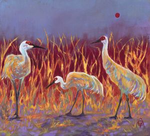 Cranes in the Morning