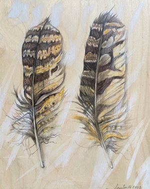 Great Horned Owl Feathers