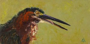 Green Heron Study 2