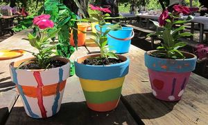 Grow What You Love-Flowers & Painted Pots 2023