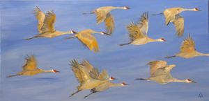 Sandhill Crane Migration