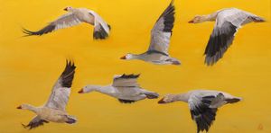 Snow Geese Migration