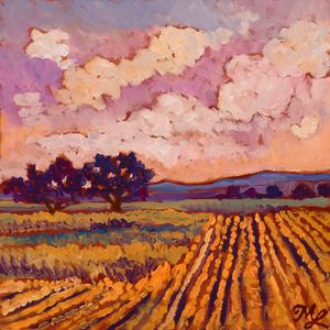 Harvest Sunset