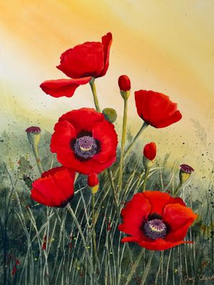 Golden Skies & Red Poppies
