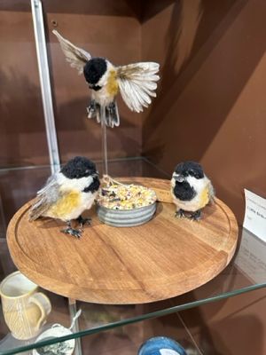 3 Little Birds-Chickadees