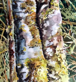 Lichen