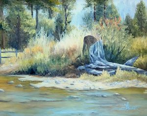 Middle Fork River