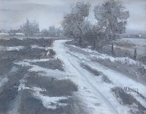Winter Driveway