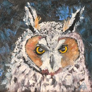Long Eared Owl