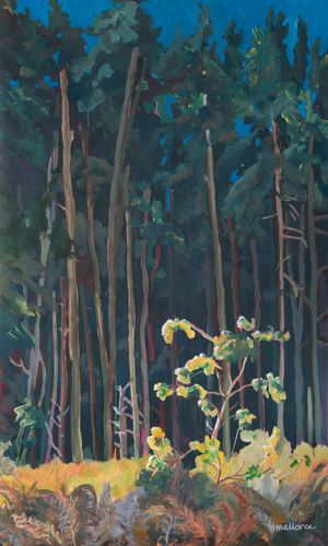 Forest 7: Clearing