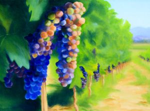 Vine to Wine: Ripening Fruit