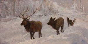 Migrating Elk in Snow