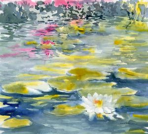 Morgan lake Lilies