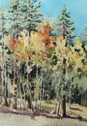 Myrtle Mt. Aspens