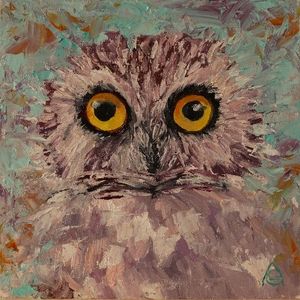 Northern Saw-Whet Owl