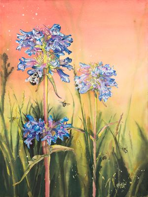 Ode to Rydbergs Penstemon