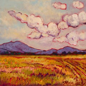 Open Fields