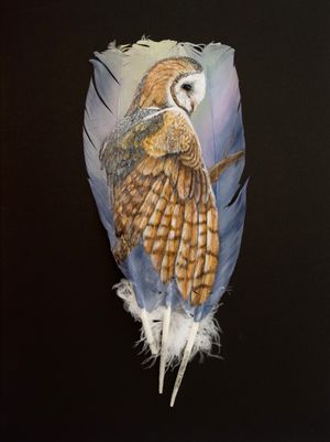 Barn Owl