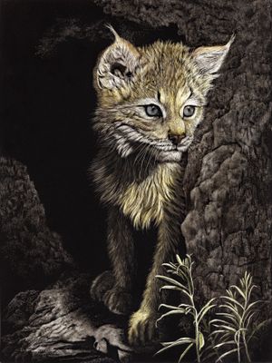 Emergence