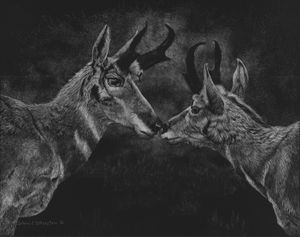Kinship