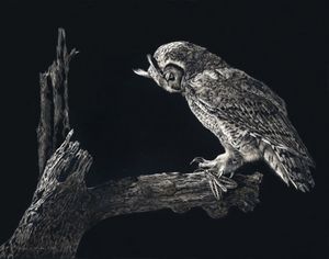 Nature's Patterns