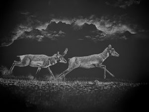 Prairie Racers